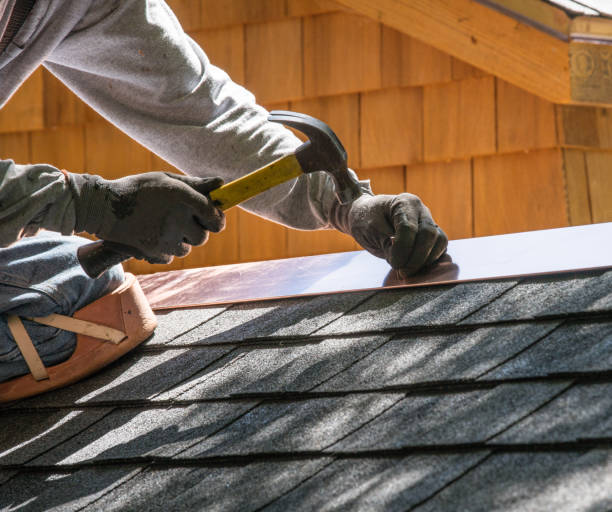 Best Roof Gutter Cleaning  in Scott, LA